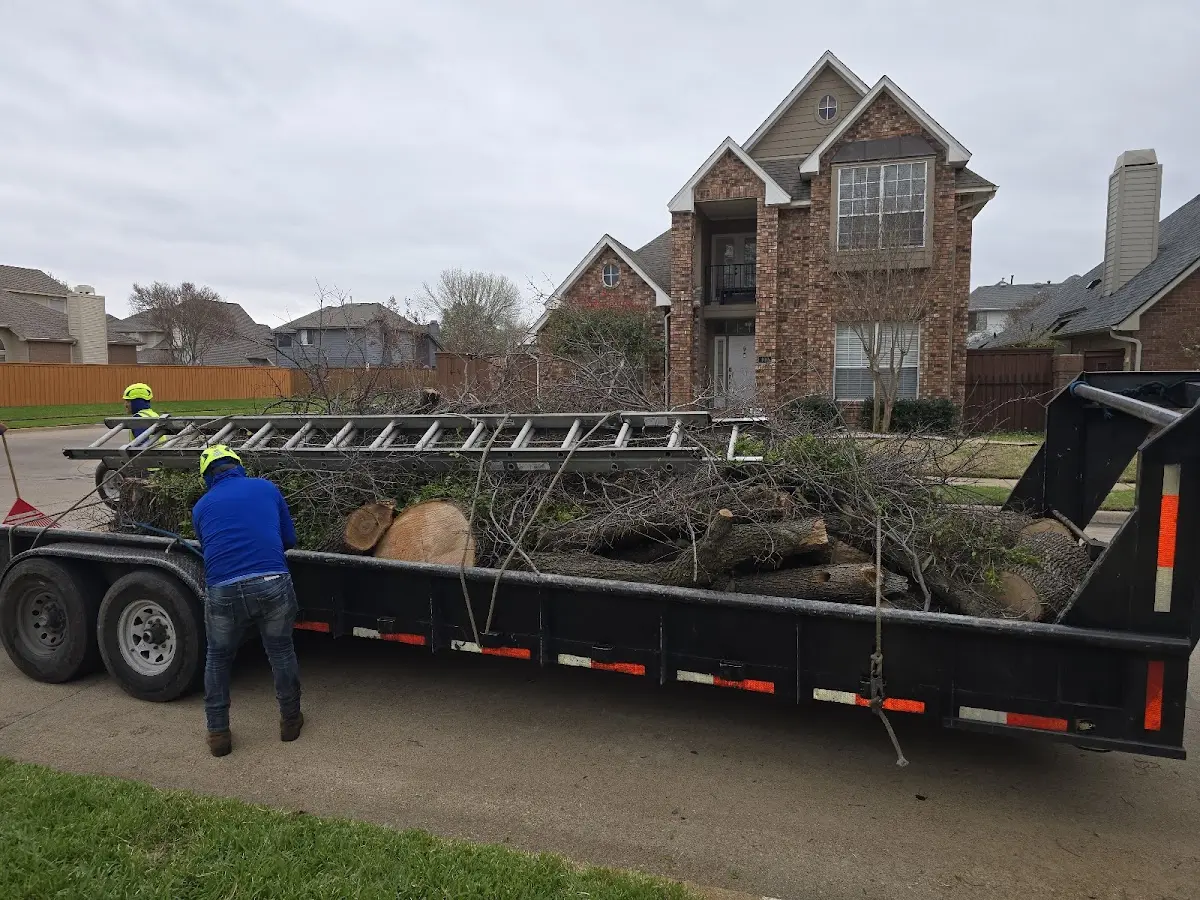 Expert Crown Reduction with proper safety equipment in Towanda